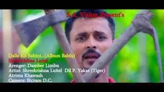 डल्ले कि बहिनी  Dalle Ki Bahini  श्री कृष्ण लुईटेल  Nepali song 20162073 [upl. by Karel990]