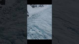 Must do No1 Incredible flying over Fox Glacier ❄️ New Zealand 🇳🇿남섬여행 뉴질랜드생활 [upl. by Sloan]