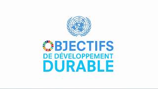 Connaissezvous chacun des 17 objectifs de développement durable [upl. by Chambers753]