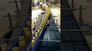 Chain Conveyor for pet line 200 BPM [upl. by Noiztneb]