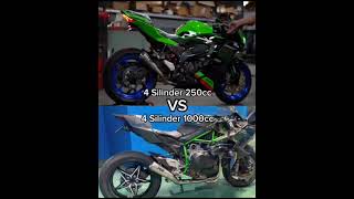 Kawasaki 250cc vs 1000cc bike exhaust sound  shorts [upl. by Haram]