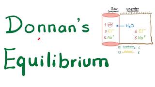 Donnan Equilibrium [upl. by Cobb]