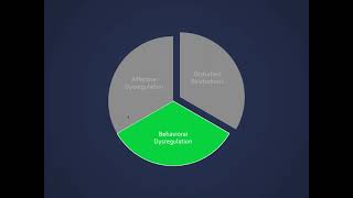 What We Are Learning About Brain Biology and Borderline Personality Disorder [upl. by Nyliahs490]