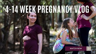 414 Week Pregnancy Update  Ultrasounds Subchorionic Hematoma Symptoms  Erin Blaskie  babyvlog [upl. by Matthei]