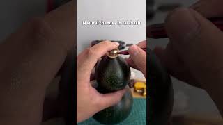 Natural changes in calabashgourd bottlegourd manual foryoupage  craft youtubeshorts funny [upl. by Llywellyn]