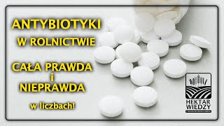 ANTYBIOTYKI w ROLNICTWIE  CAŁA PRAWDA I NIEPRAWDA  HEKTAR WIEDZY [upl. by Cordey386]