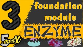 foundation module  Enzyme lecture 3 [upl. by Orel]