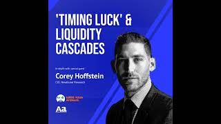 Ep 69 Timing Luck and Liquidity Cascades with Corey Hoffstein Newfound Research Raise Your A [upl. by Eednarb]