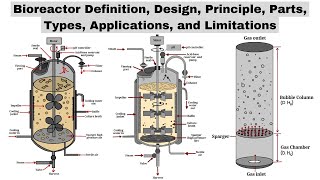 Bioreactors  Design Principle Parts Types Applications amp Limitations  Biotechnology Courses [upl. by Oakman]