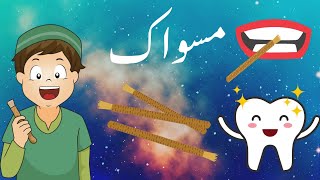 مسواک کے فائدے miswak ke fayde [upl. by Ylahtan]