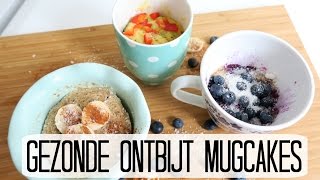 Recept 3 Gezonde Snelle Ontbijt Mugcakes [upl. by Breed824]