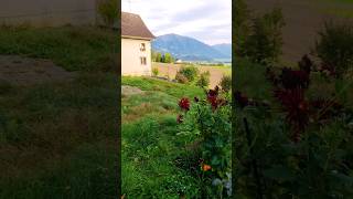 Beautiful Backyard Of My Parents InLaw In Gommiswald Switzerland [upl. by Ennad]