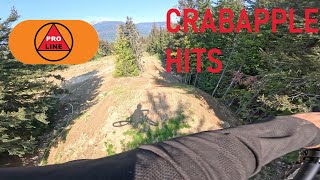 Crabapple Hits  Whistler Bike Park Encyclopedia 2024 [upl. by Derrej191]