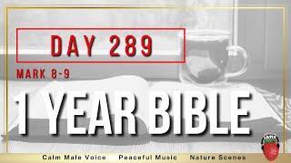 Day 289  Mark Chapters 89  NIV  One Year Bible [upl. by Nanreik]