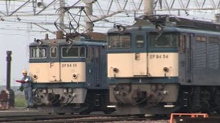 EF64 国鉄色・更新機 （愛知＆塩尻）0番台最後の活躍 篠ノ井派出にて HDV 764 [upl. by Cacilie]