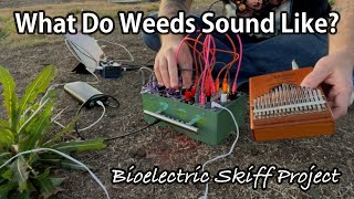 What Do Weeds Sound Like  Bioelectric Skiff Project [upl. by Camey]