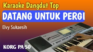 Datang Untuk Pergi  Karaoke Dangdut Tanpa Vokal  Elvy Sukaesih [upl. by Eirrod194]