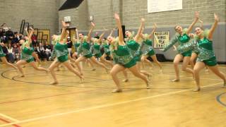 FAIRFIELD WARDE HIGH SCHOOL DANCE TEAM  CONNECTICUT JAZZ ROUTINE 2014 [upl. by Naerol]