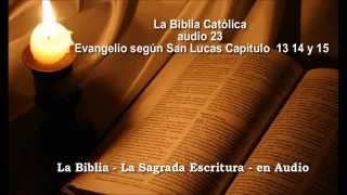 La Biblia Católica en audio 23 Evangelio San Lucas 13 14 15 [upl. by Casia367]