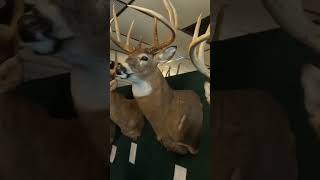 New York State Big Buck Club Annual Awards Banquet 202223 whitetaildeer archery NYSbigbuckclub [upl. by Naivat]