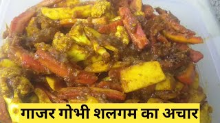 गाजर गोभी शलगम का अचार  Gajar Gobhi Shalgam ka Achar [upl. by Ruthe]