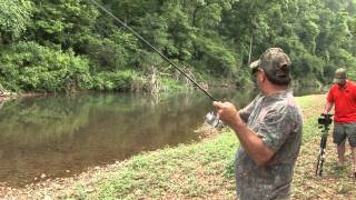 Middle TN Creek Fishing [upl. by Brandt]