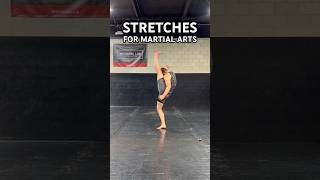 The BEST Stretches for Martial Arts martialarts flexibility [upl. by Ayotl]