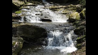 Waterfalls and Ruins at Mill Creek Falls [upl. by Noe831]