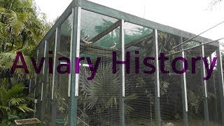 My Aviary History and Pheasants 2017 [upl. by Fenner]