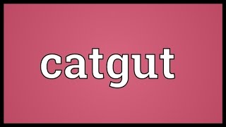 Catgut Meaning [upl. by Isadora]