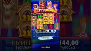 The dog house big win  maxwin  заносынедели казиноонлайн казинострим [upl. by Peyter]