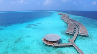 Drone tour  Centara Ras Fushi Resort amp Spa Maldives [upl. by Alahcim]