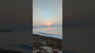 Estepona sunrise song music shorts youtubeshorts [upl. by Riancho]