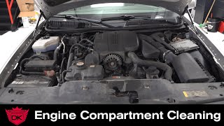 How to Clean an Engine Compartment  Detail King [upl. by Hilleary]