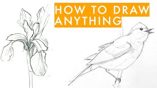 How to draw anything  learn sketching for beginners in 7 steps [upl. by Calva60]