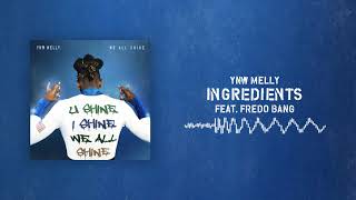 YNW Melly  Ingredients ft Fredo Bang Official Audio [upl. by Trellas]