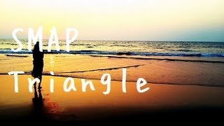 【女性が歌う】「Triangle」SMAP cover [upl. by Etnaed]