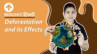 Deforestation and its Effects  डिफोरेस्टेशन  Biology  CBSE [upl. by Onileva]