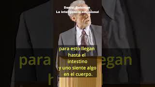 13 La inteligencia emocional Daniel Goleman DanielGoleman inteligenciaemocional [upl. by Hallimaj]