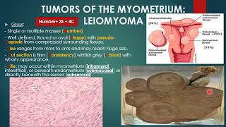 Myometrium and tube [upl. by Solita]