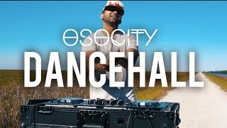 Dancehall Mix 2017  The Best of Dancehall 2017 by OSOCITY [upl. by Halian]