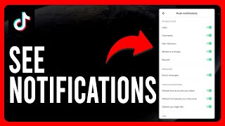 How To See TikTok Notifications How To View Your Notifications on TikTok [upl. by Kinimod]