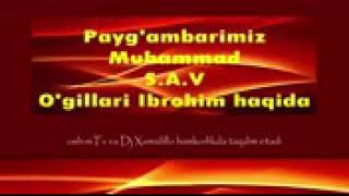 Paygambarimiz Muhammad  SAV  ning ogli haqida [upl. by Odlonyer30]