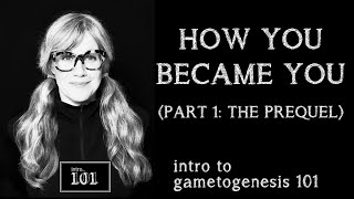 intro to neurodevelopment 101 part 1 the prequel  gametogenesis  s1e6 [upl. by Hgielime905]