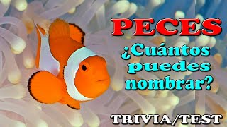 ¿TE SABES LOS NOMBRES DE LOS PECES TriviaTest [upl. by Tenahs338]