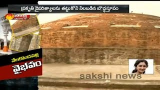 Nelakondapalli Stupa Buddhist Archaeological  Kurnool District  Watch Exclusive [upl. by Naerda443]