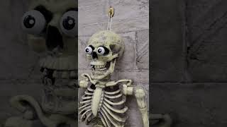 Gemmy Wisecracking Jack Joke Telling Skeleton Halloween Prop Does not Talk 34quot [upl. by Melicent]