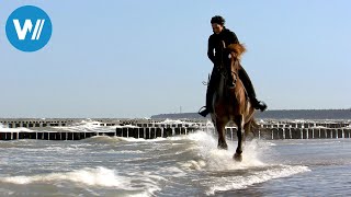 Küsten des Nordens 56 Von Lübeck zum Darß  Dokuserie über Nord und Ostsee [upl. by Lenna]