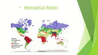 Zoogeographical Regions Zoology LCWUlife Sciences with Mehwish Khan BS 4 years [upl. by Steck]