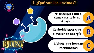 🧬Las enzimas 🦠 ¿Cuánto sabes sobre las enzimas 🎯Test  quiz  preguntas y respuesta 📝Examen UNAM [upl. by Gnouv]